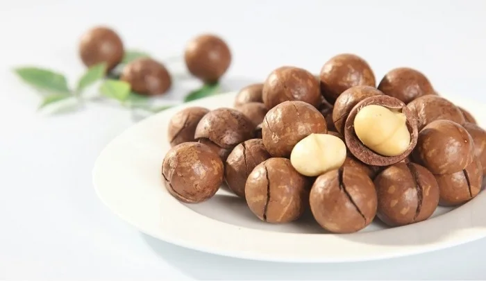 2021 Высокое Качество | Конкурентоспособная цена Оптовая продажа Органическая Экспортная продукция из Вьетнама... Макадамия в Ракушке