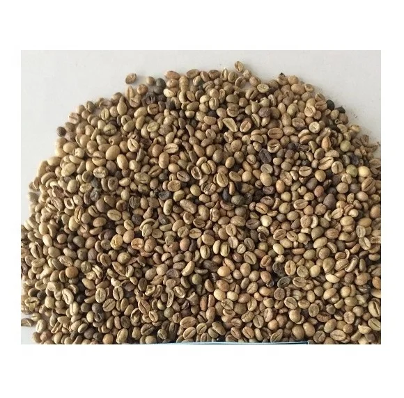 
AA Grade and Robusta Variety robusta coffee bean( 0084 989 322 607 whatsapp) 