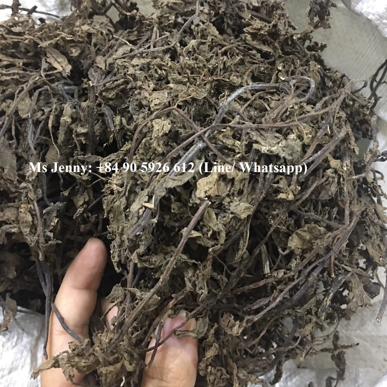  DRIED JELLY GRASS PREMIUM