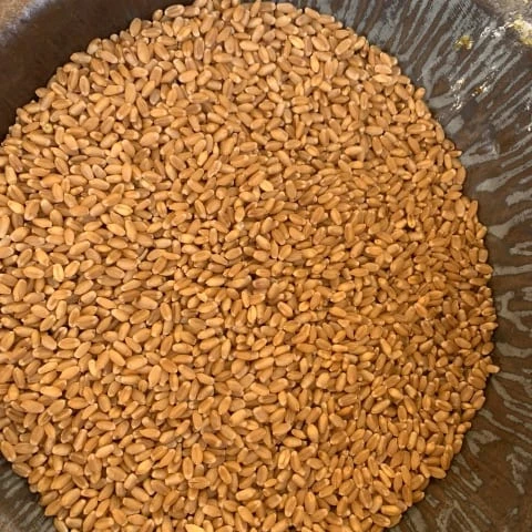 
CNF PRICE FOR WHEAT CONSUMPTION 