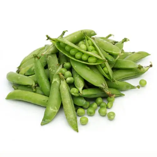 Wholesale IQF Sweet Pea Frozen Green Pea