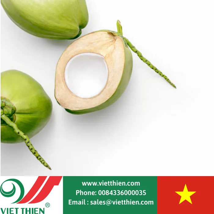  Wholesale organic fresh young coconut selected and processed with strict process from the west of Vietnam