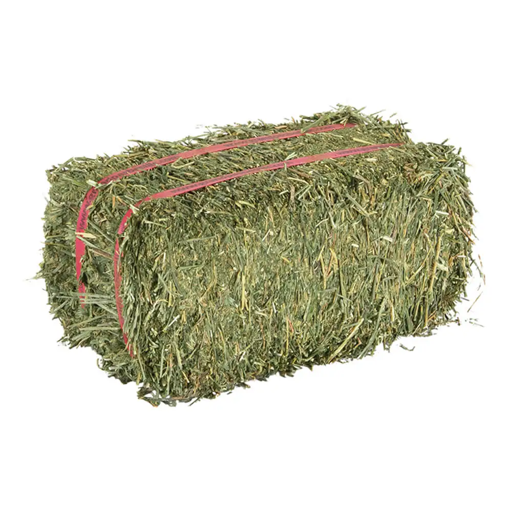 Factory price Alfalfa Hay/timothy Hay for sale