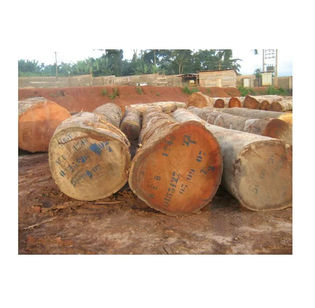 Wholesale Supplier Doussie Wood Logs For Sale In Cheap Price Bulk Doussie Wood Logs