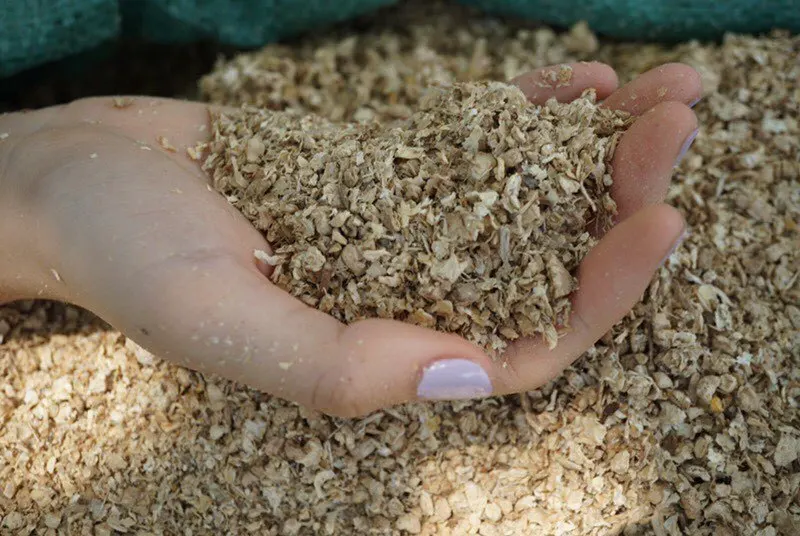 Сушеный порошок кукурузы для корма хорошая цена свяжитесь с Ms Lena 0084707750653