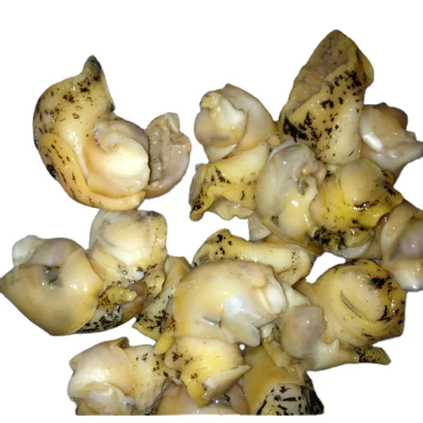 Frozen Cooked Whelk Meat