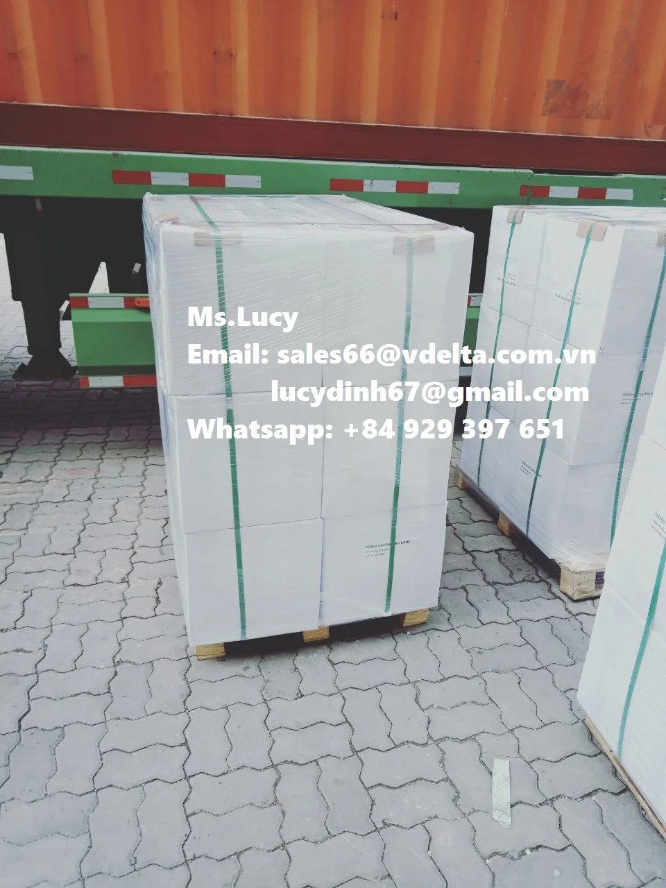 Sepia Powder/ Premium Cuttlefish Bone Powder/ Natural Sepia Bone Powder Ms.Lucy +84 929 397 651