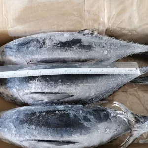 Wholesale Seafood Supplier Frozen Yellowfin Tuna For Sale In Cheap Price