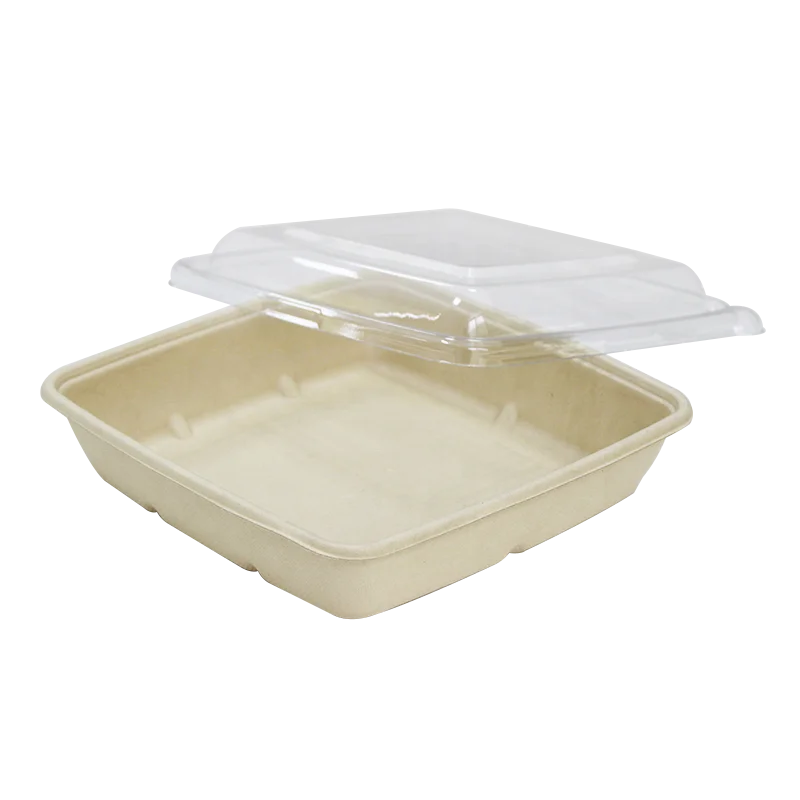 EASYPACK 3 compartment takeaway food packing pulp trays with lid