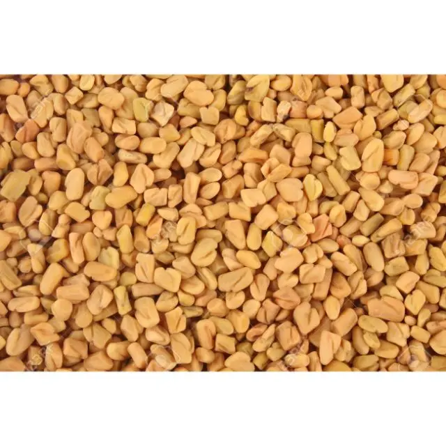 
 Производители, чистые семена пажитника, Индия, глобальная торговля домами, надежное название специй  