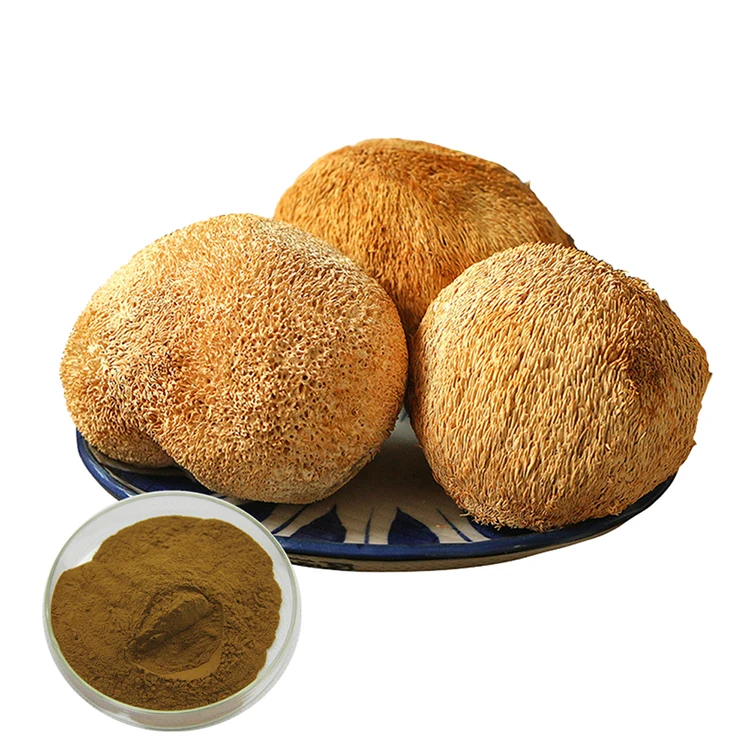 lion mane mushroom extract powder Hericium Erinaceum Extract Fruiting Body 50% polysaccharides by UV lions mane private label