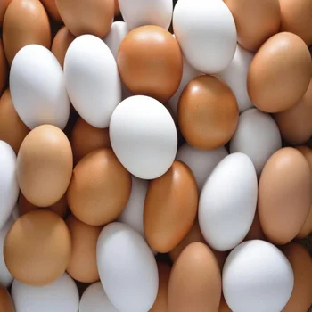 Top quality of Brown Table Chicken Eggs for Suitable price