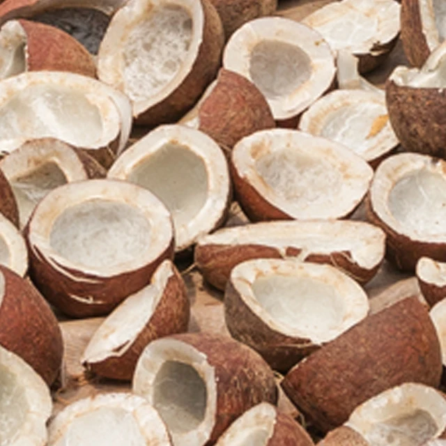 High Quality Dry Copra 100% Pure Coconut