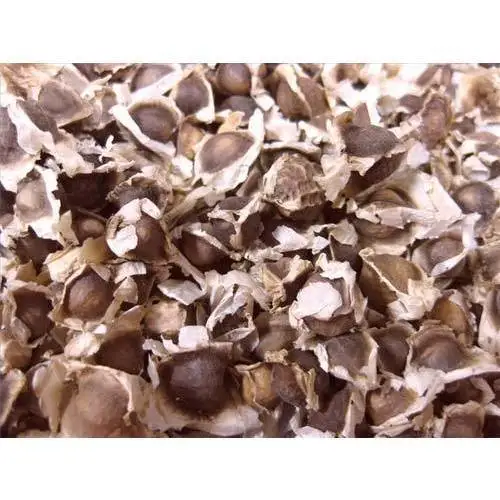 100% Moringa dry leaf Extract oleifera powder seed oil 0.20% Alkaloids by GV USP EU Grade ISO 22000