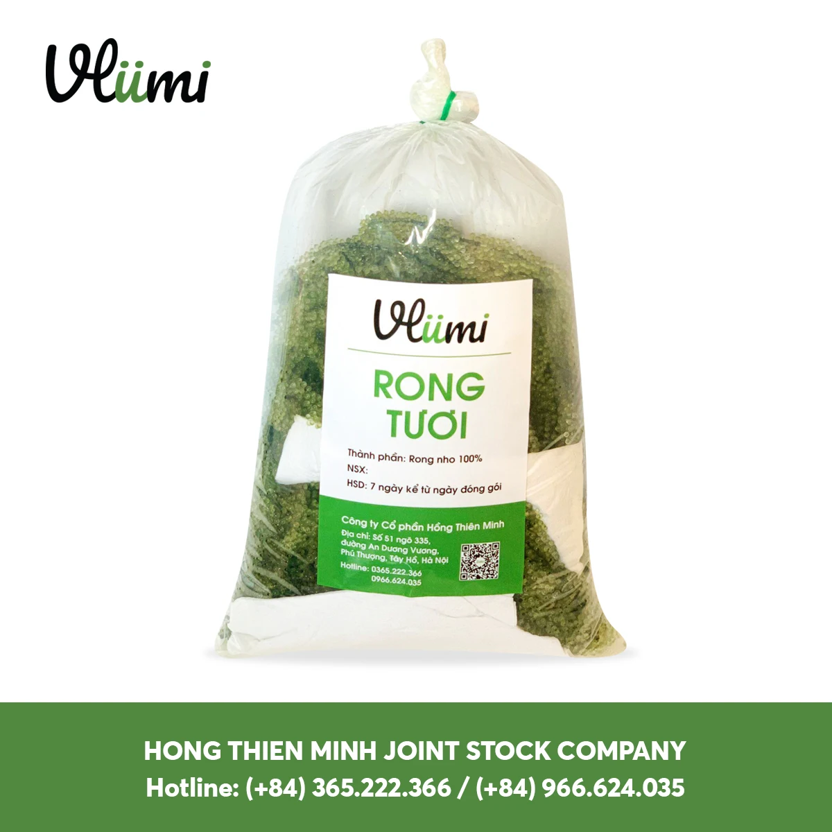 High Quality VLUMI Green 100% Fresh Sea Grapes  Vegeterian Food Made In Vietnam