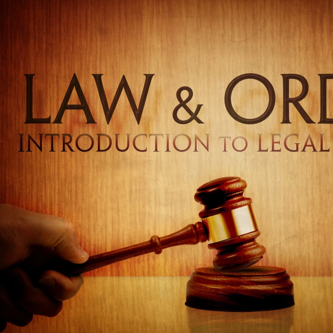 Legal service provided by professional lawyers in Asia Professional Service and Trade solutions Legal Support