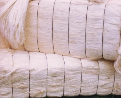 Natural size of sisal fiber 80cm to 1.50cm for sale in bales