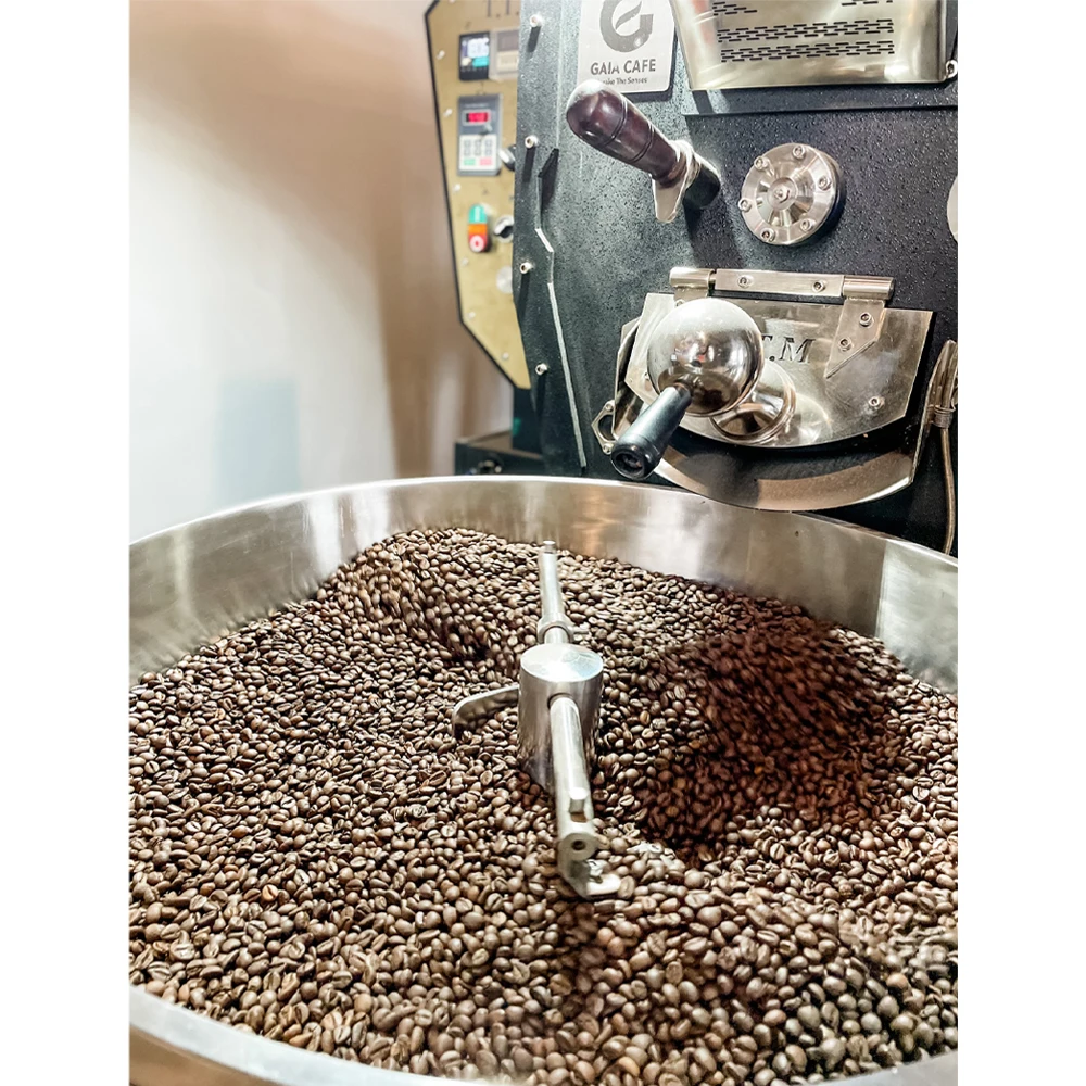 Green Robusta Coffee 98% Maturity Robusta Green Coffee Beans Fruity, Flowery, Balanced Best choice for start-ups from Vietnam
