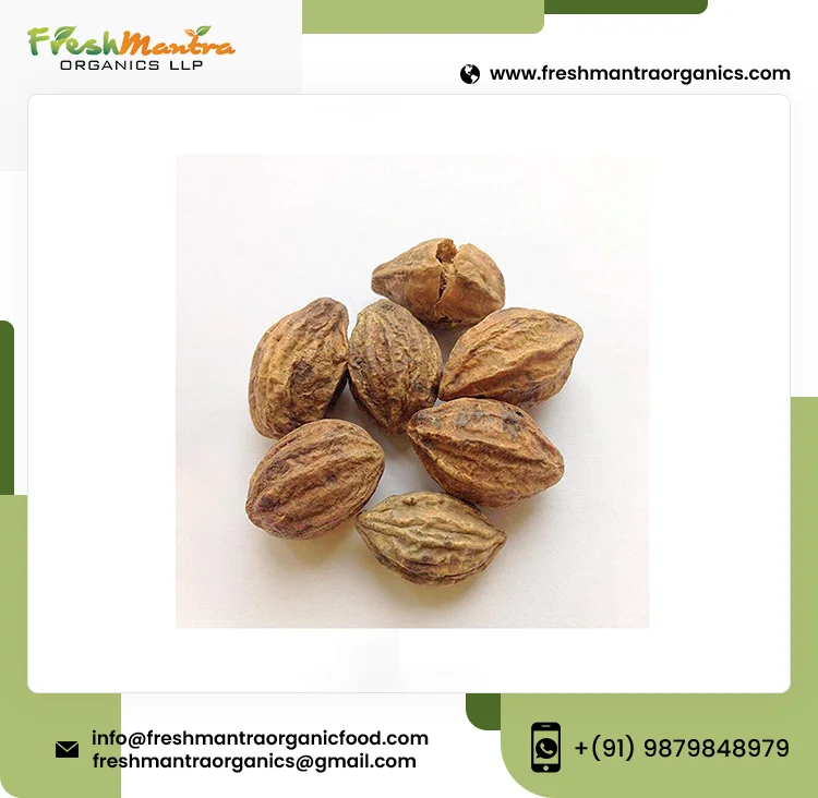 100% Organic Haritaki Seed Extract Powder With 24 Months Longer Shelf Life