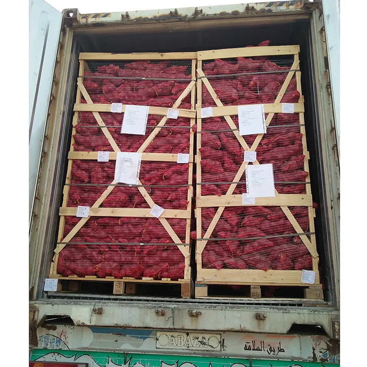 
Fresh Holland Yellow Onion 