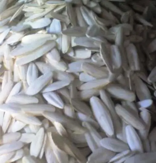 
Cuttle Fish Bone / Dried Washed Cuttle Fish Bone For sale 