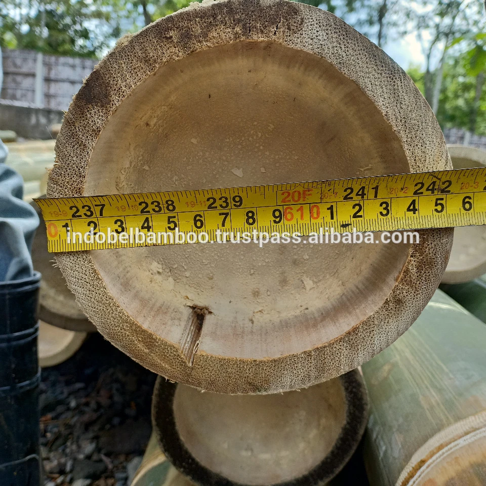 
Bamboo Poles Natural Straight for Construction 3m (Non Treated) 