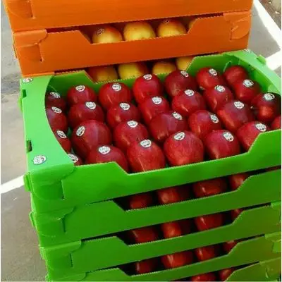 Sweet and delicious Fresh Apples