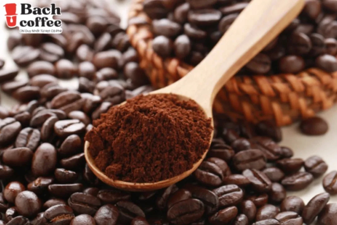  Оригинальное итальянское среднее Обжарка-кофейные зерна-100% Catimor обжарка кофейных зерен-Специальный вьетнамский кофе