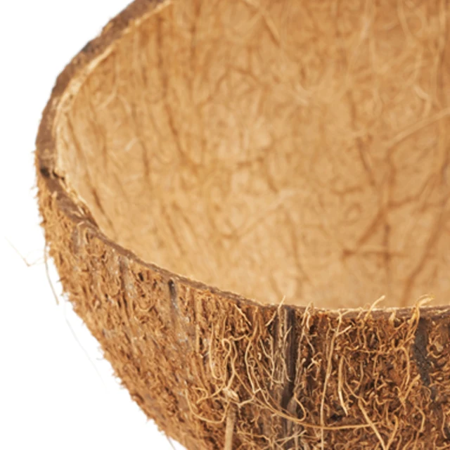 Raw Coconut Shell Material Agriculture Waste