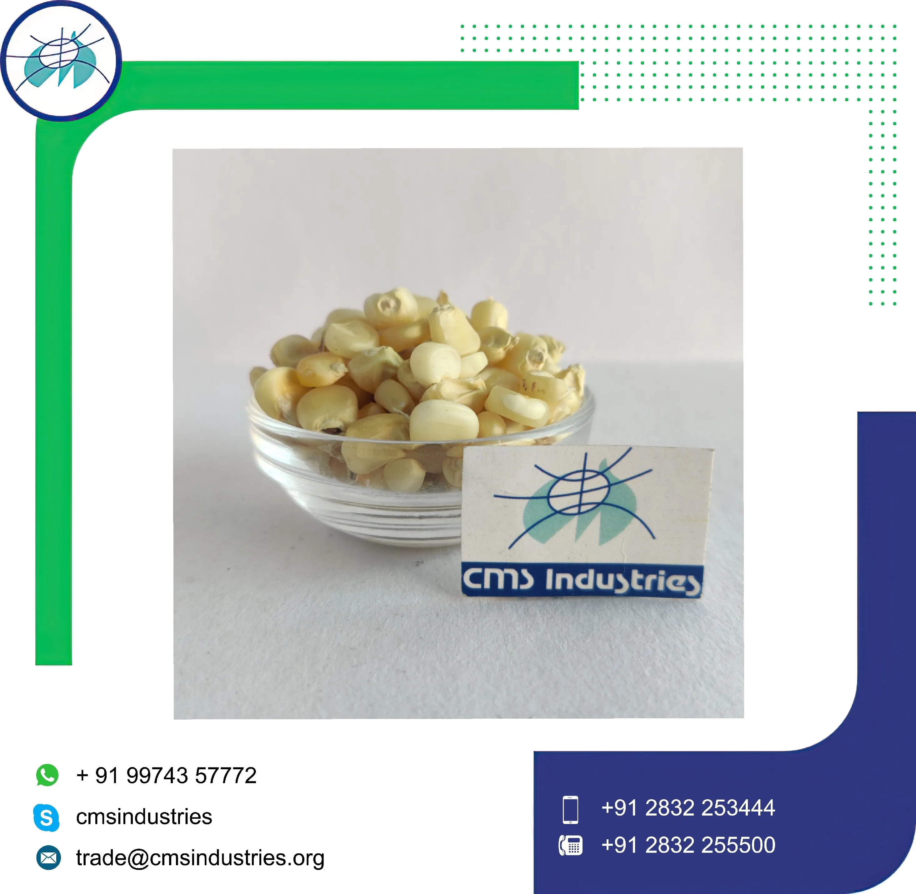 Refine White Corn or Maize