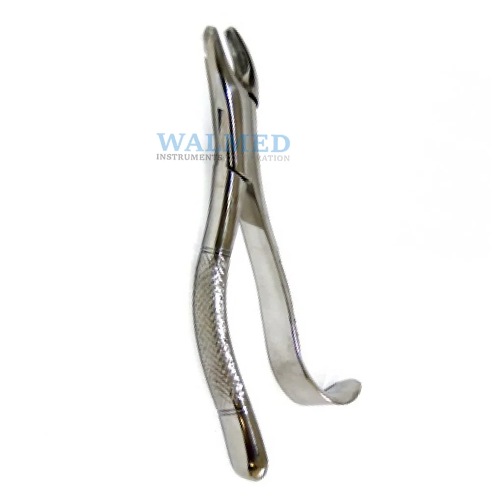 
Stainless Steel Dental Extracting Forceps For Sale / Dental Extracting Forceps 