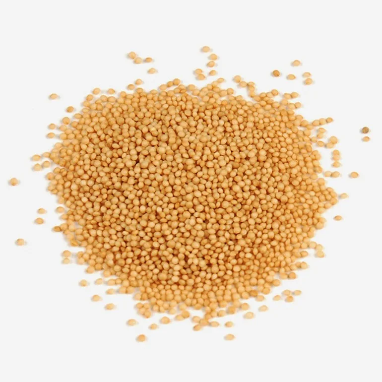 Organic Amaranth Grains