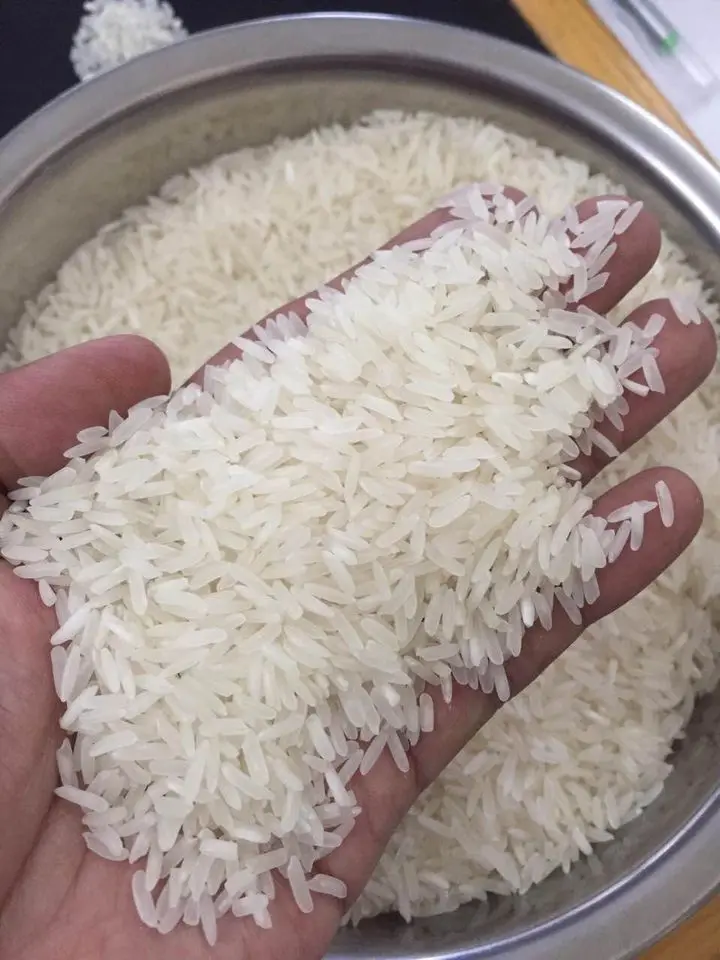 Factory  Pure White Crystal Garlic Rice Manufacturing Company Premium  Vietnam export products rice