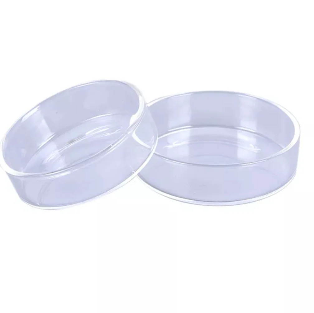 Aquarium Shrimp Feeding Dish Clear Glass Feeder Cup Fish Tank Feeding Food Tray Bowl for Shrimp Fish