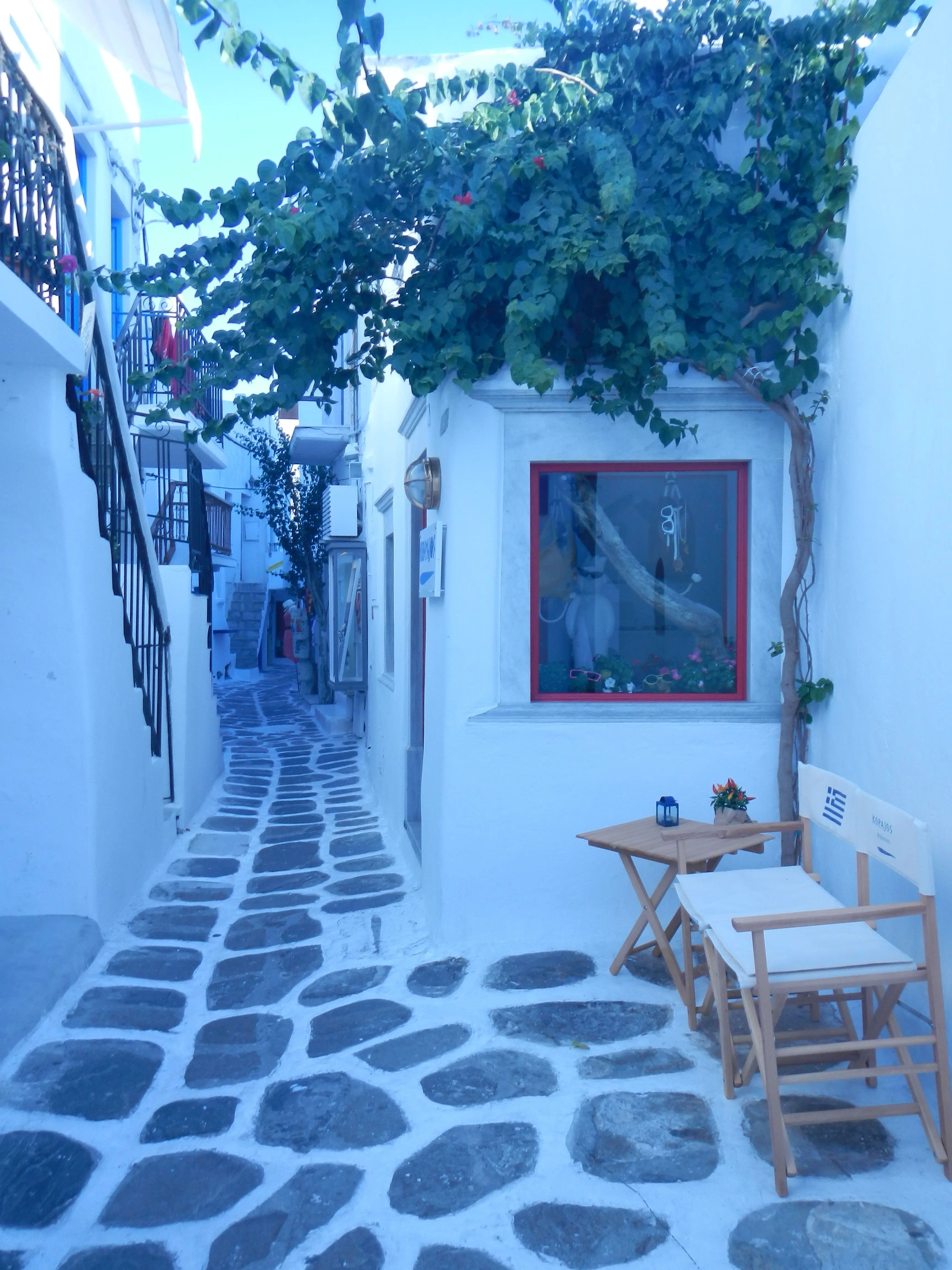 TWIN DIRECTOR FOLDING CHAIR WOOD