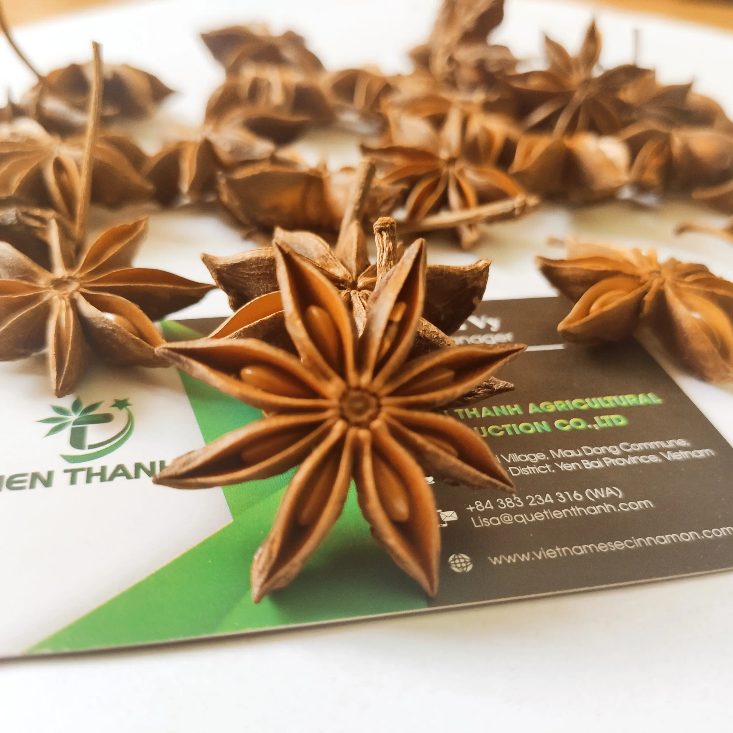 Bunga Lawang Kering/ Star Anis/ Illicium verum extract From Vietnam