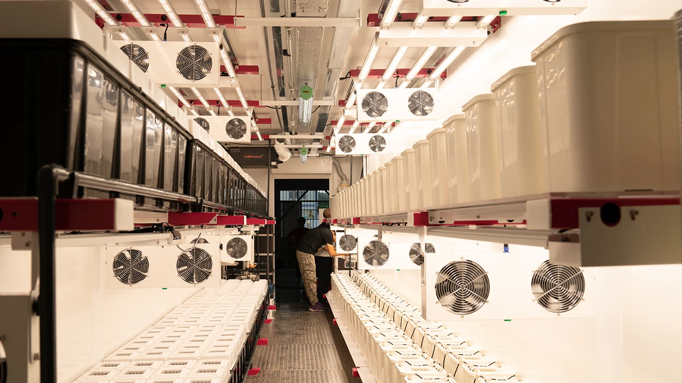 aeroponic shipping container grow garden