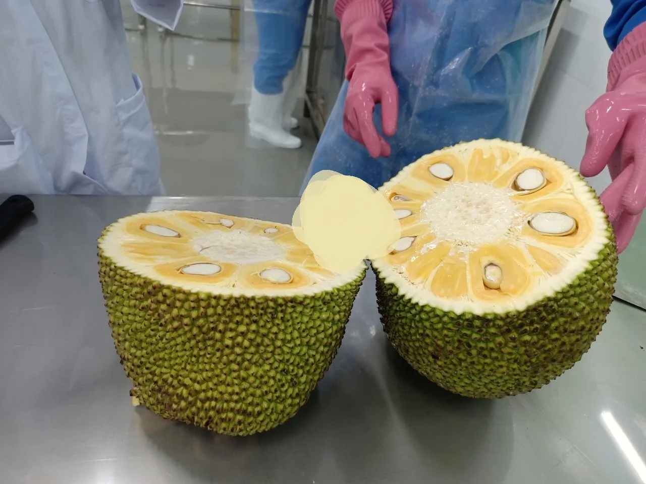  Замороженный дуриан/замороженный домкрат GAP IQF без налога высокое качество в продаже богатые питательные Натуральные Сладкие фрукты Корее Европе Японии Великобритании Канаде