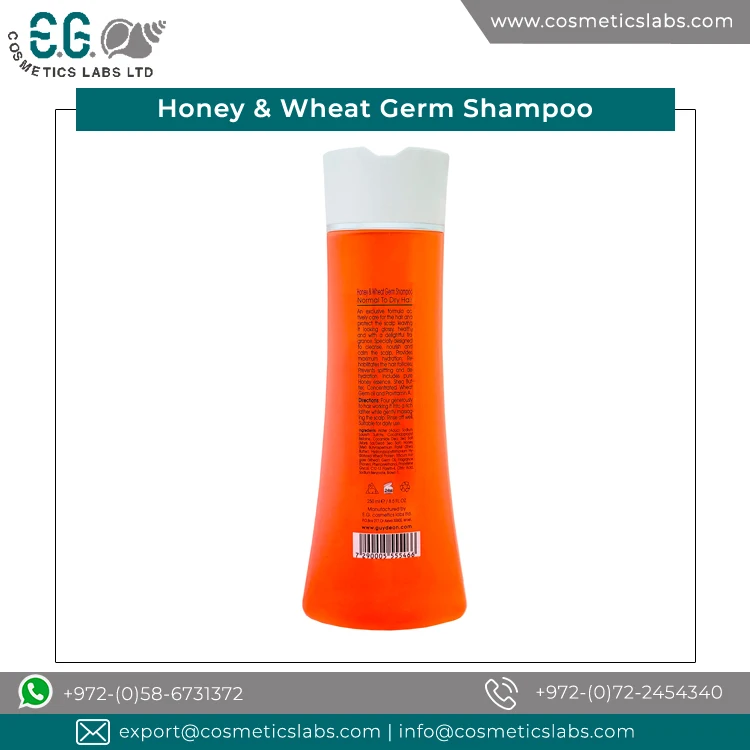 Genuine Price Top Most Selling Honey and Wheat Germ Shampoo from OEM Supplier
