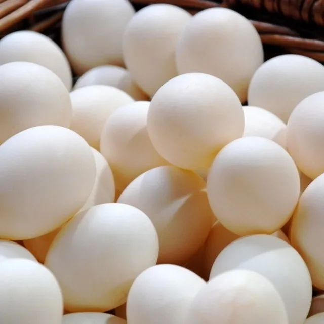 High Quality Table Eggs,Fresh Table Eggs Brown And White For Sale - Buy Table Chicken Eggs
