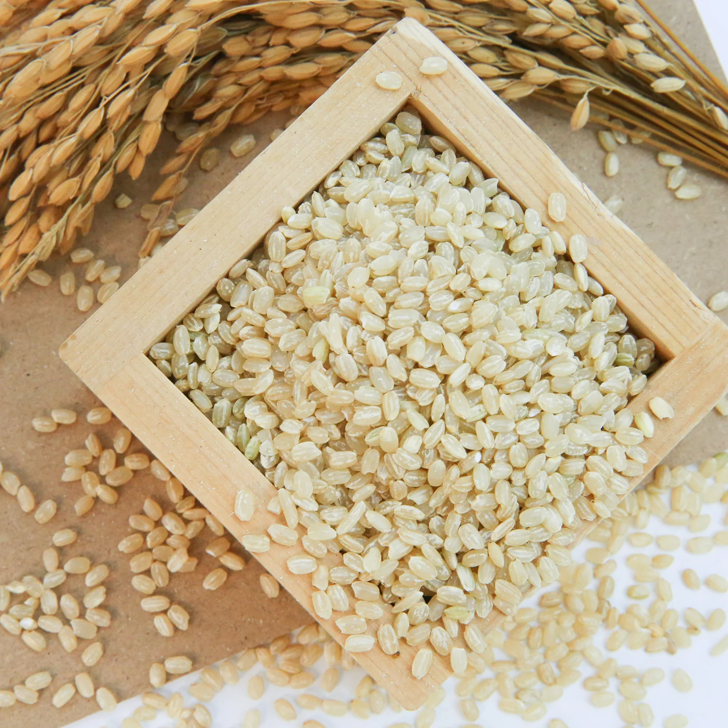 Вьетнамский высококачественный мягкий короткозернистый рис 5% Стандартный коричневый японский здоровый