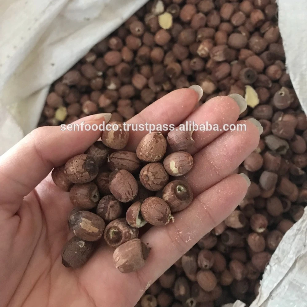 BLACK LOTUS SEEDS  FROM VIETNAM HIGH QUALITY whatsapp +84934449569