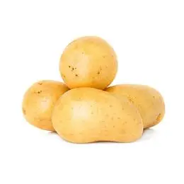 HIGH QUALITY Fresh Potatoes  - TURKEY (Antalya) 2022