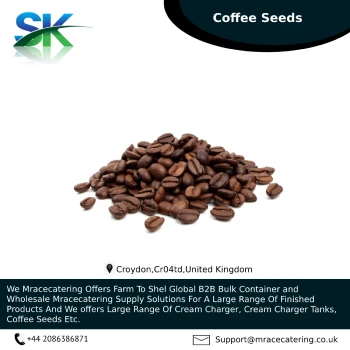 High Manufacturing Choice Wet Washed Wet-polished A18CBU-B Arabica Green Coffee Beans From Vietnam