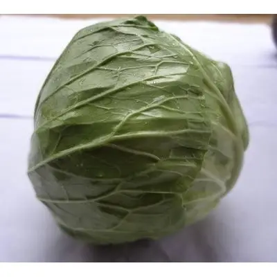 Свежая капуста