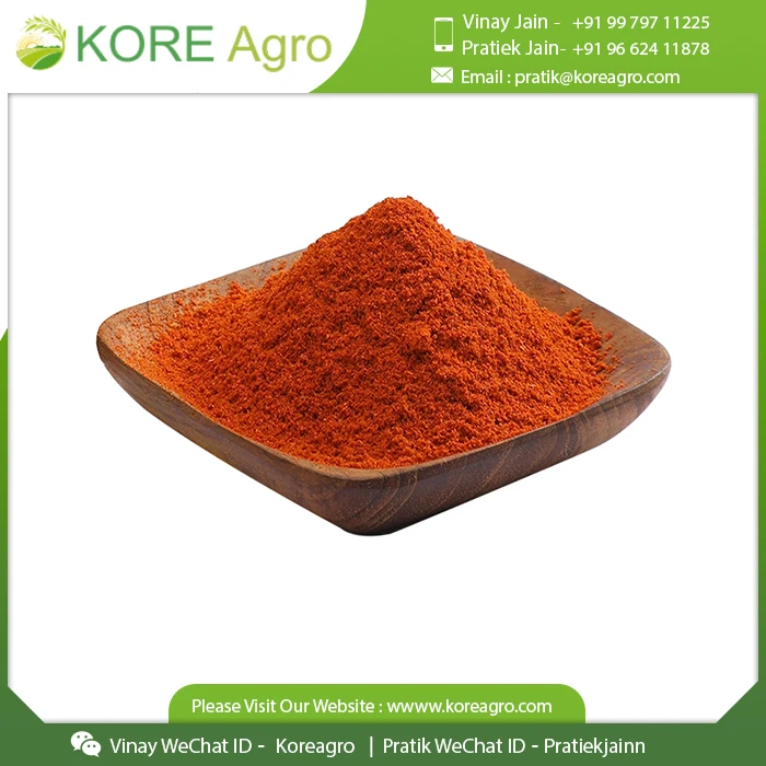 New Arrival Red Chilli Powder Richly Aromatic Chili Powder Mixed Spices & Seasonings from India