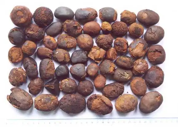 HALAL Tested And Trusted 100% Whole OX Gallstones Suppliers/ Natural OX COW Gallstones Korea,China,Hongkong Exporters/Gallstones