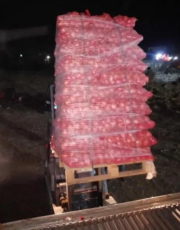 Горячая распродажа высокое качество низкие цены свежий лук овощи