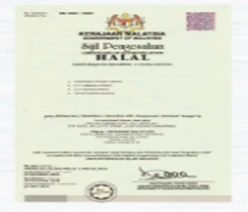 Korean Food Daebak Kimchi Original Made in Korea 100% Napa Cabbage Cut 400g Pet Spicy Flavor Halal