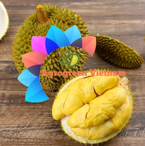 Premium Quality Frozen Durian Fruit From Vietnam Farmer Grow Bulk